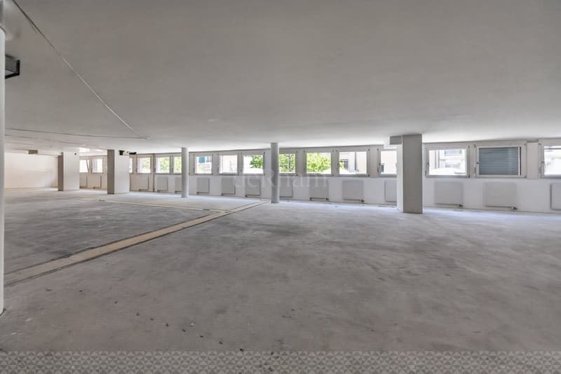 Ale_31_-_Lausanne-1.jpg