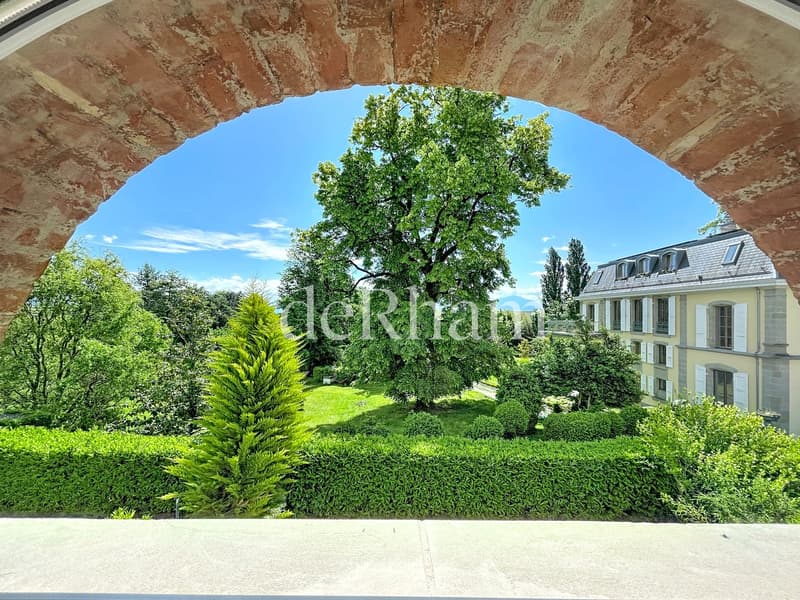 Superbe 8,5 pièces avec terrasse et jardin (6)