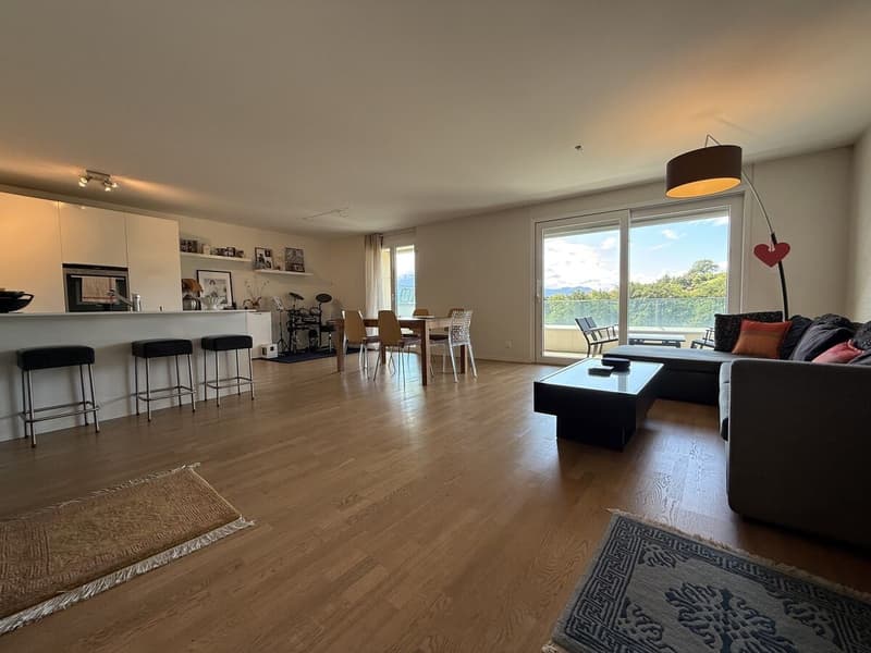 Charmant appartement contemporain de 3.5 pièces avec vue! (8)