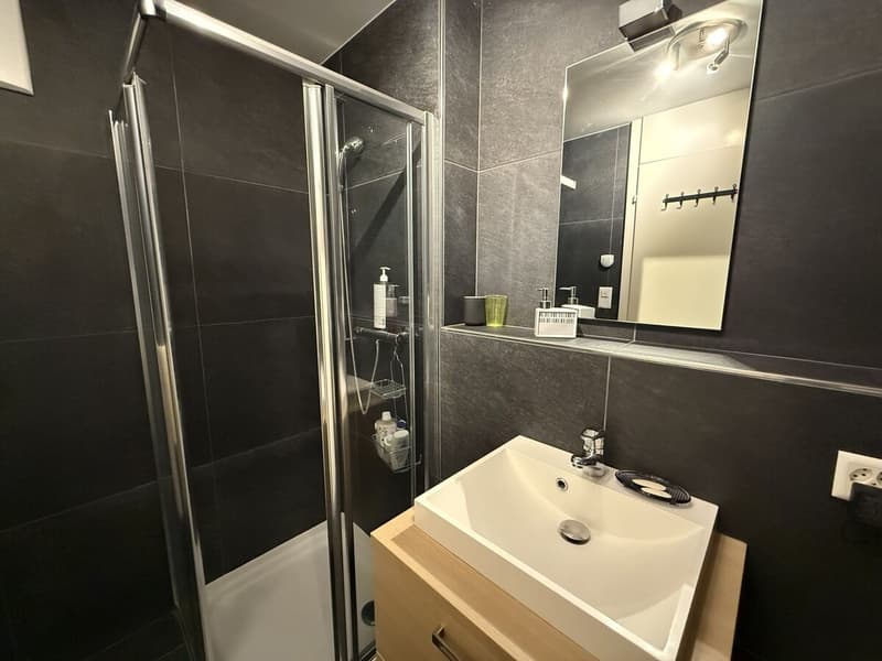 Charmant appartement contemporain de 3.5 pièces avec vue! (7)
