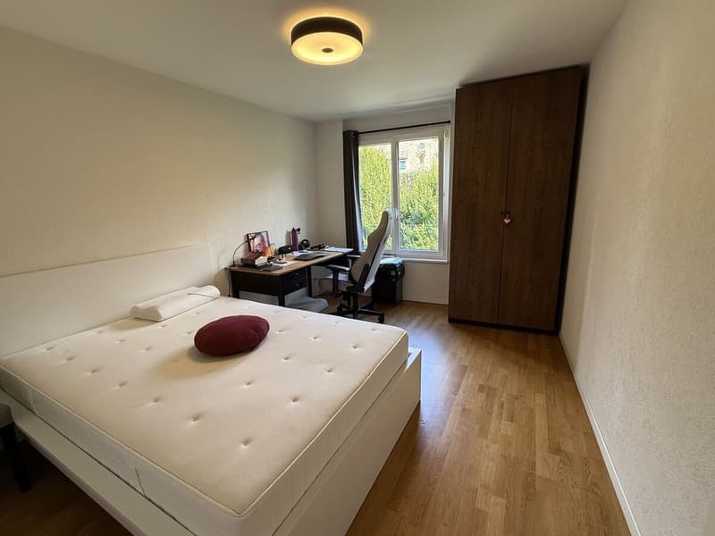 Charmant appartement contemporain de 3.5 pièces avec vue! (3)