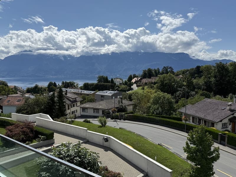 Charmant appartement contemporain de 3.5 pièces avec vue! (5)