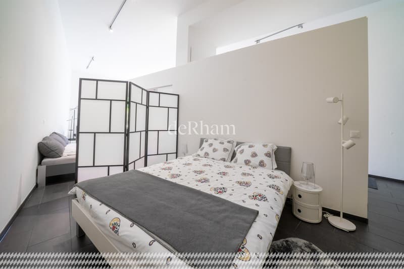 Magnifique loft au coeur de Lausanne (4)