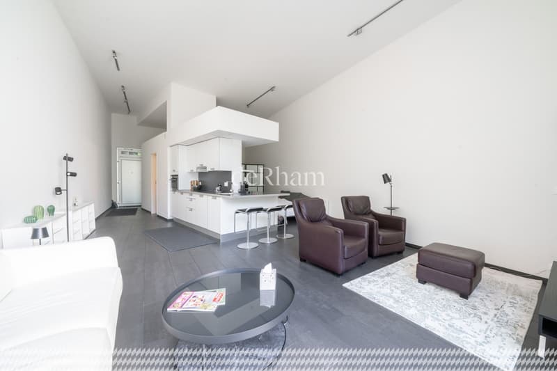 Magnifique loft au coeur de Lausanne (3)