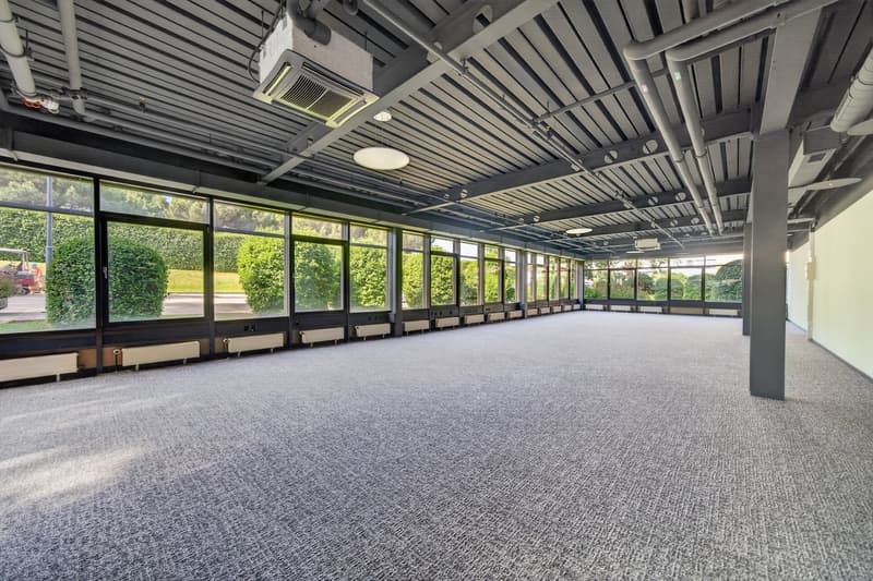 Bureaux rénovés à louer à Saint-Sulpice (6)