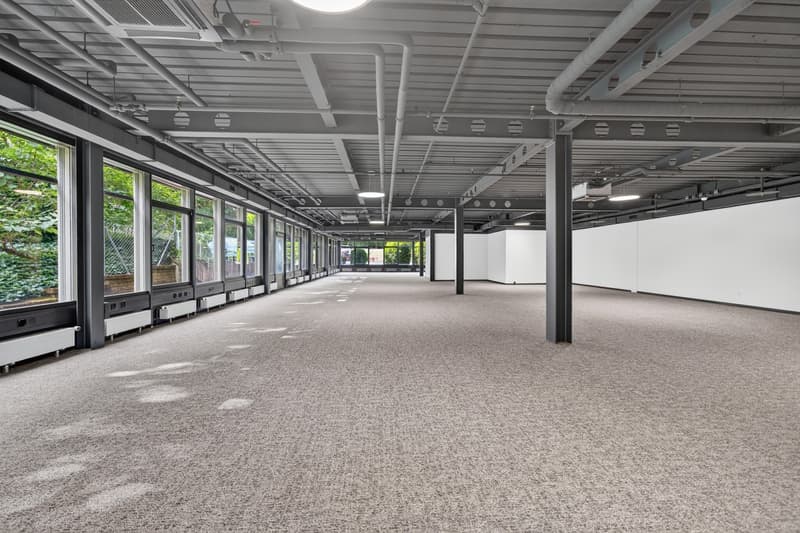 Bureaux rénovés à louer à Saint-Sulpice (5)