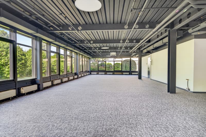 Bureaux rénovés à louer à Saint-Sulpice (4)