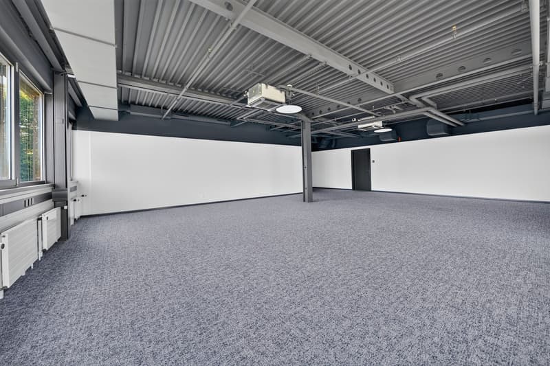 Bureaux rénovés de 100m2 à louer à Saint-Sulpice (3)