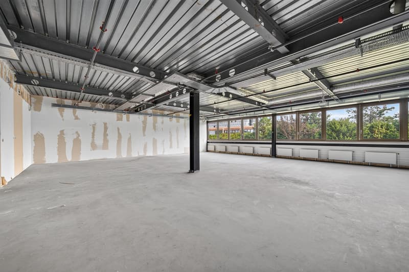 Bureaux rénovés de 271m2 à louer à Saint-Sulpice (4)