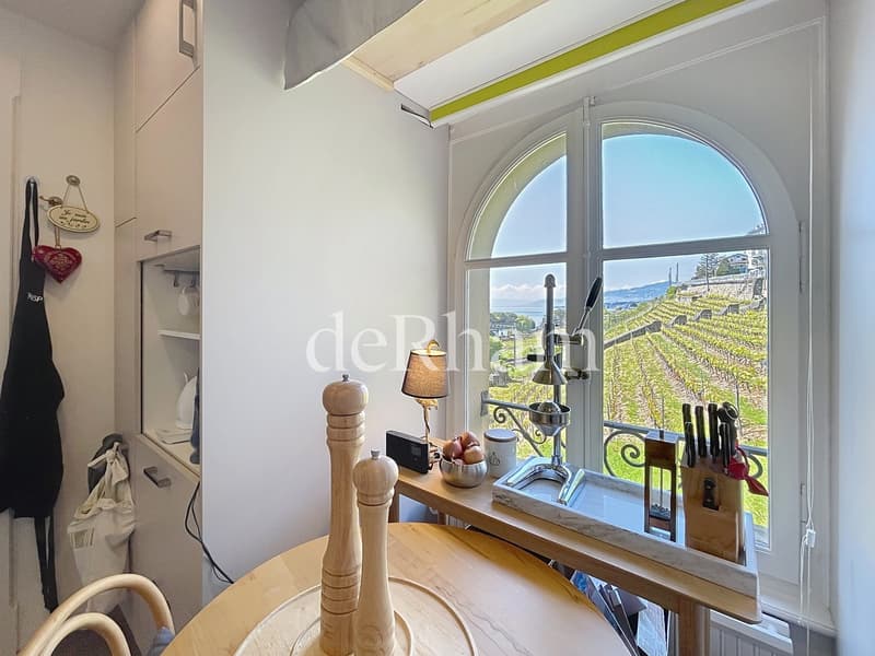 Splendide appartement de 4 pièces avec vue imprenable ! (8)