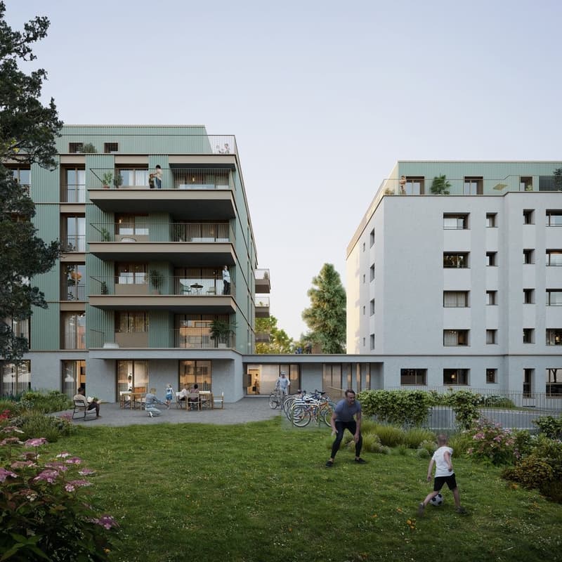frontal_v03.jpg
