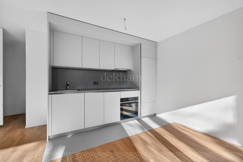 3 pièces rénovés à louer au centre-ville de Lausanne (2)