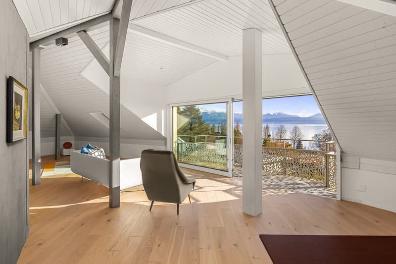 Magnifique villa individuelle à deux pas du lac! (10)