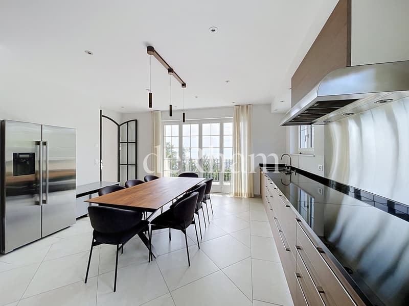 Splendide villa individuelle de 7.5 pièces avec vue imprenable! (4)