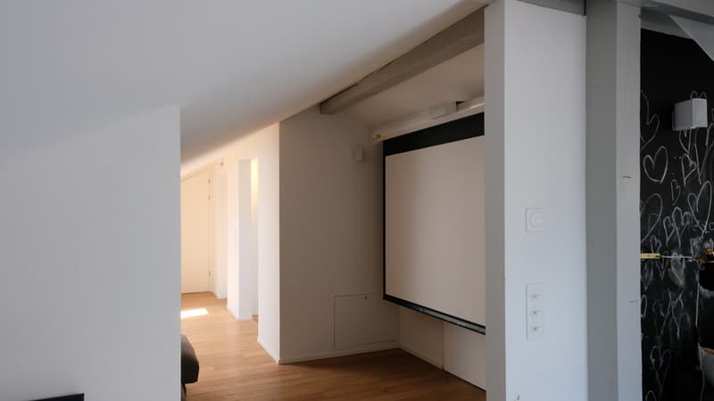 Vevey - Splendide appartement en duplex de 220m2 avec vue panoramique! (11)
