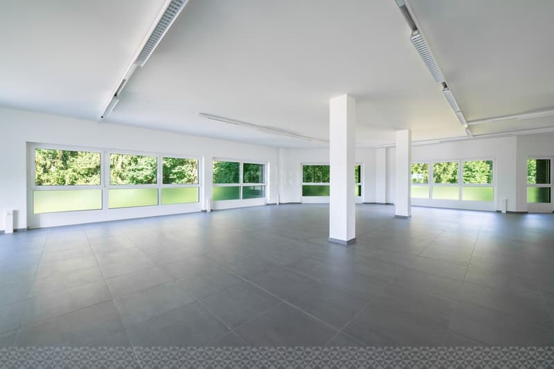 Surface de bureau de 70m2 et 100m2 à Saint-Légier (6)