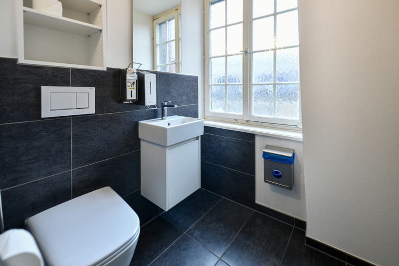 Einzigartiges Geschäftshaus in der St. Galler Altstadt "Zum Goldenen Apfel" (8)