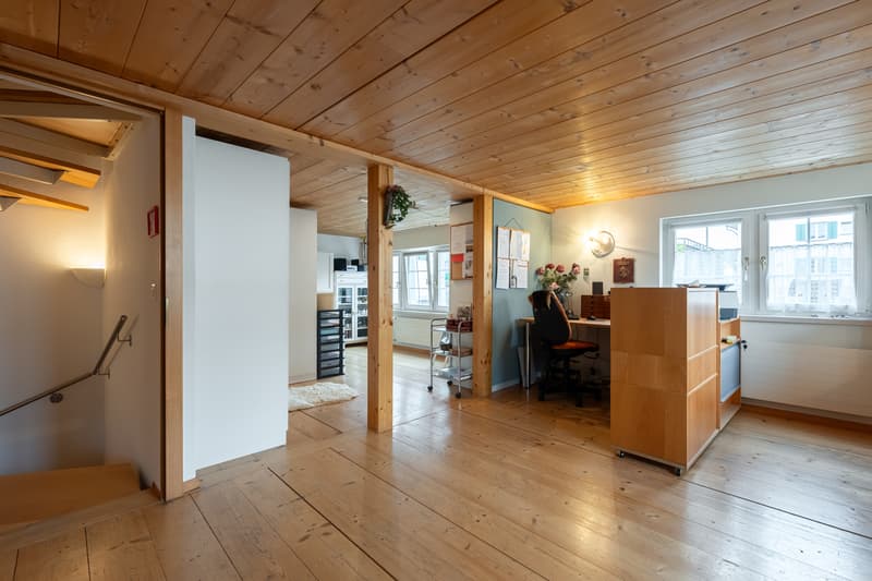 Selten. Historisch. Einzigartig. Ihr neues Zuhause in Richterswil. (6)