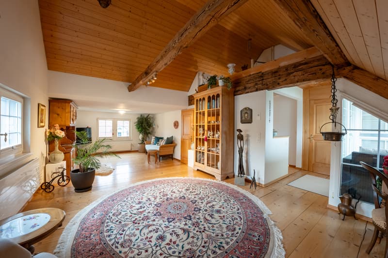 Selten. Historisch. Einzigartig. Ihr neues Zuhause in Richterswil. (4)