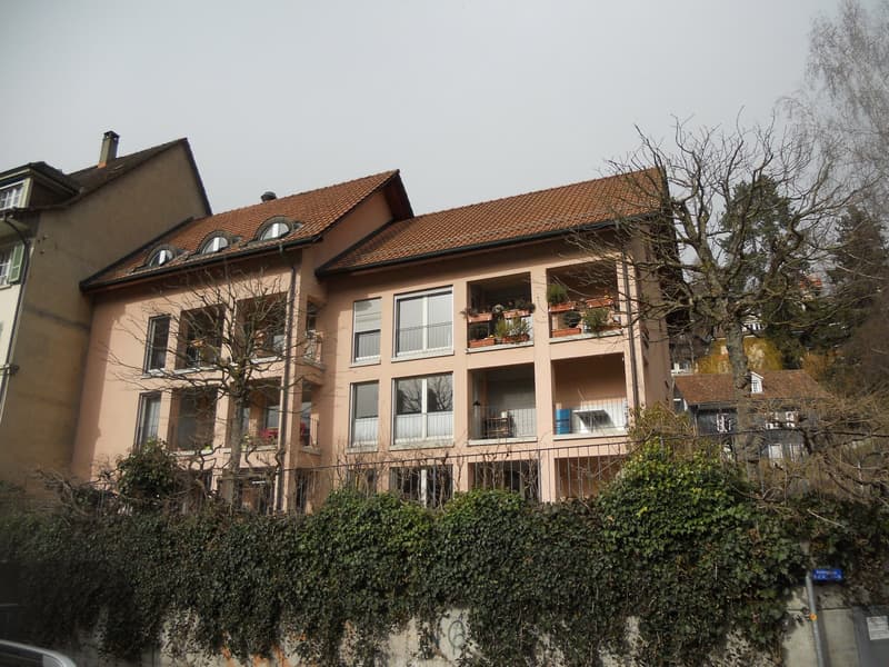 Multi-story apartment building, brick exterior, multiple balconies with railings, several potted plants