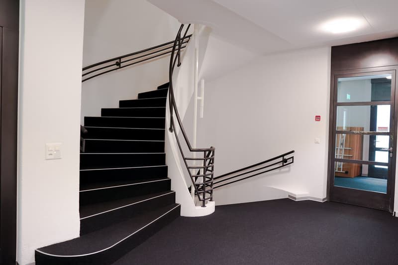 black carpet, white walls, black staircase, metal handrail, glass door
