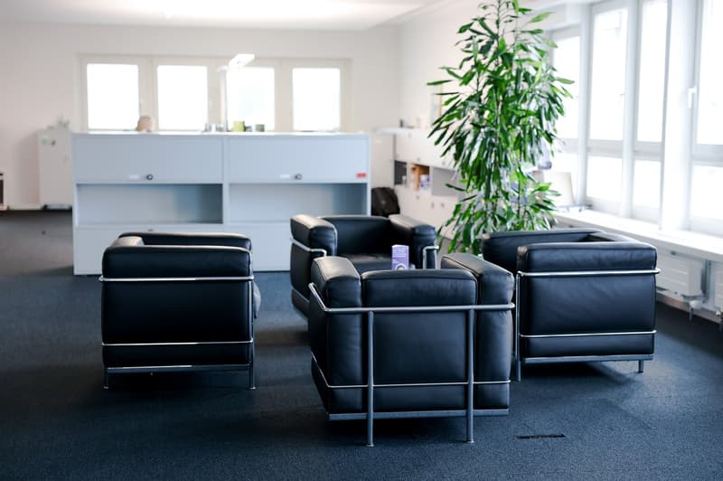 modern office with black leather chairs, white cabinets, large windows, tall plant