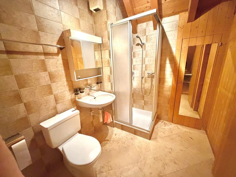 Bathroom with toilet, sink, shower, mirror, wooden walls, tiled floor