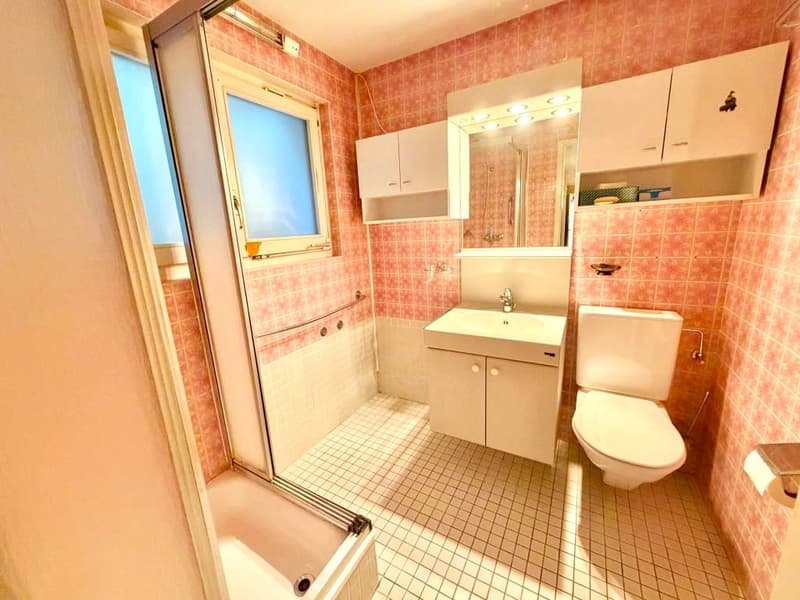 Mehrfamilienhaus (3 Wohnungen) an Traumlage - mit viel Potenzial (14)