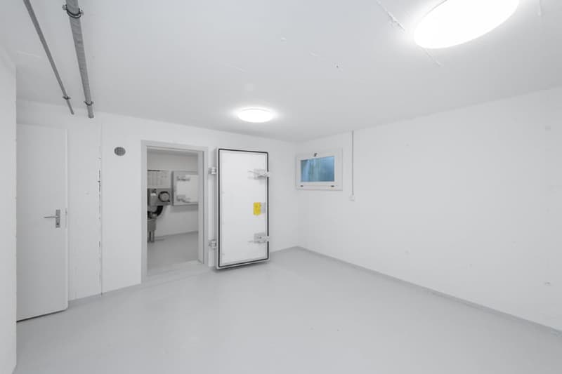 Freistehendes 5.5-Zimmer-Einfamilienhaus mit 901m² Grundstück und Ausbaupotential (24)