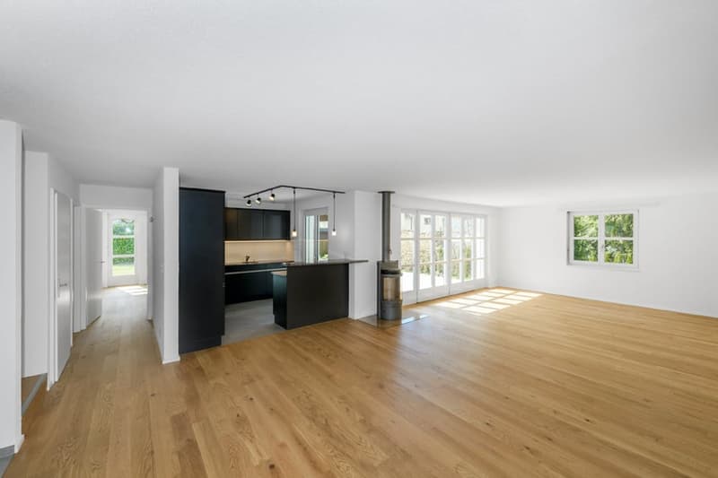 Freistehendes 5.5-Zimmer-Einfamilienhaus mit 901m² Grundstück und Ausbaupotential (5)