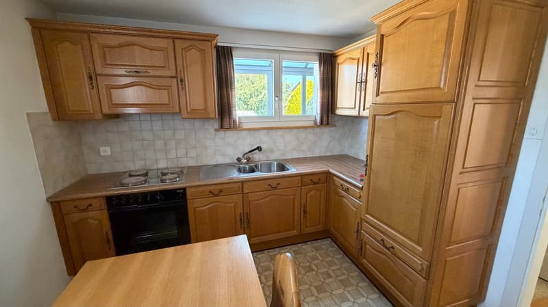 Einfamilienhaus mit grossem Garten (2)