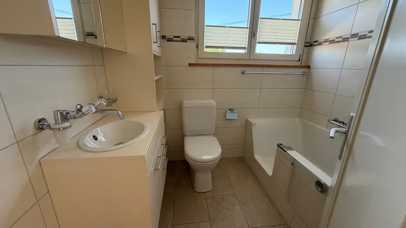 Einfamilienhaus mit grossem Garten (9)