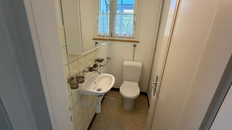 Einfamilienhaus mit grossem Garten (5)