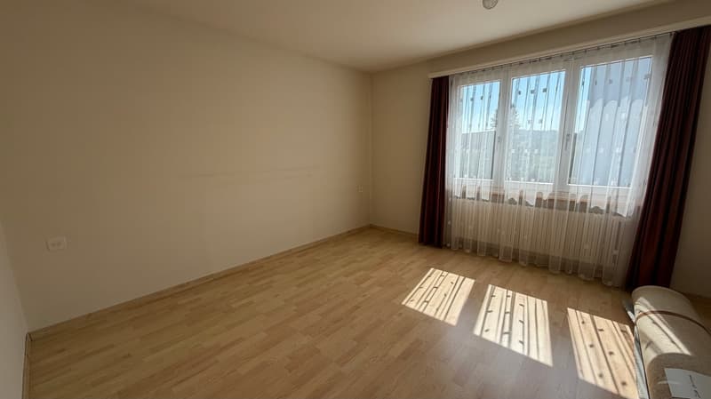 Einfamilienhaus mit grossem Garten (8)