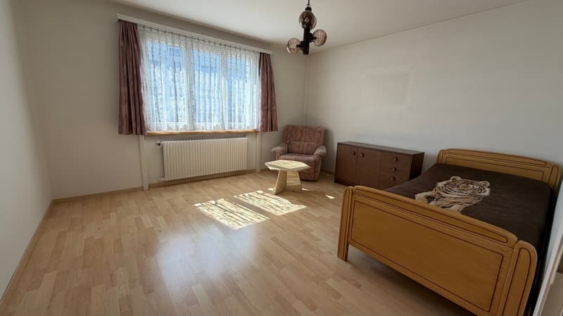 Einfamilienhaus mit grossem Garten (4)