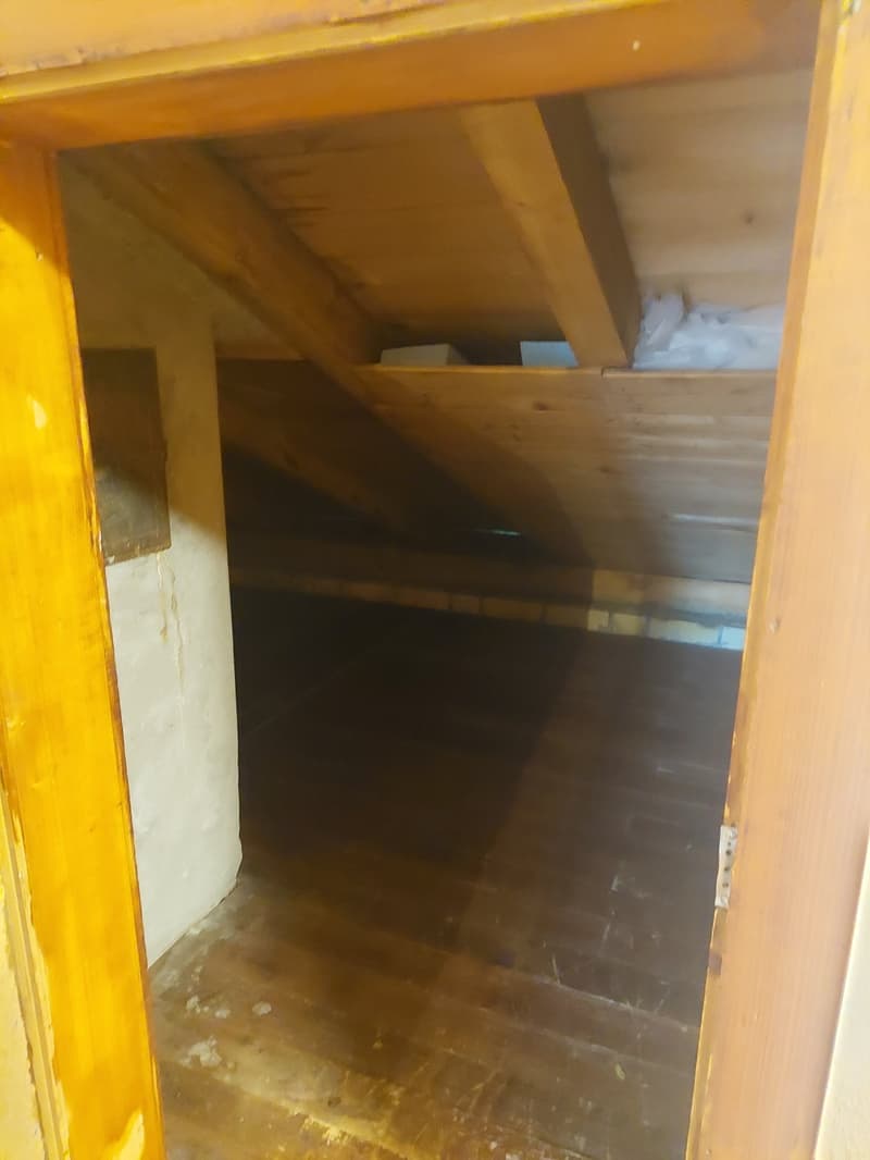 Einfamilienhaus freistehend mit zusätzlichem Umschwung und Garage (28)