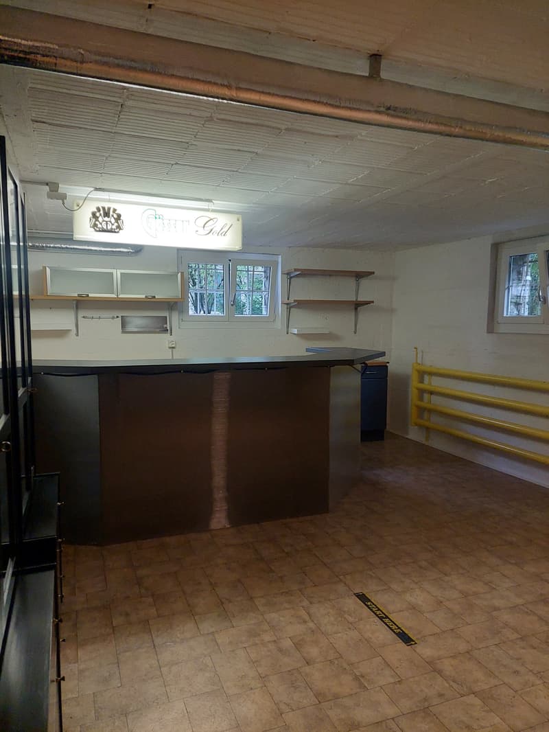 Einfamilienhaus freistehend mit zusätzlichem Umschwung und Garage (26)