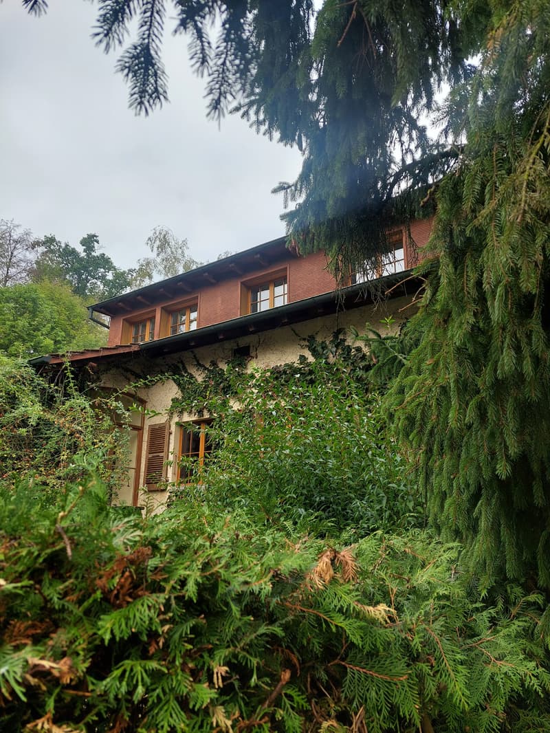 Einfamilienhaus freistehend mit zusätzlichem Umschwung und Garage (1)