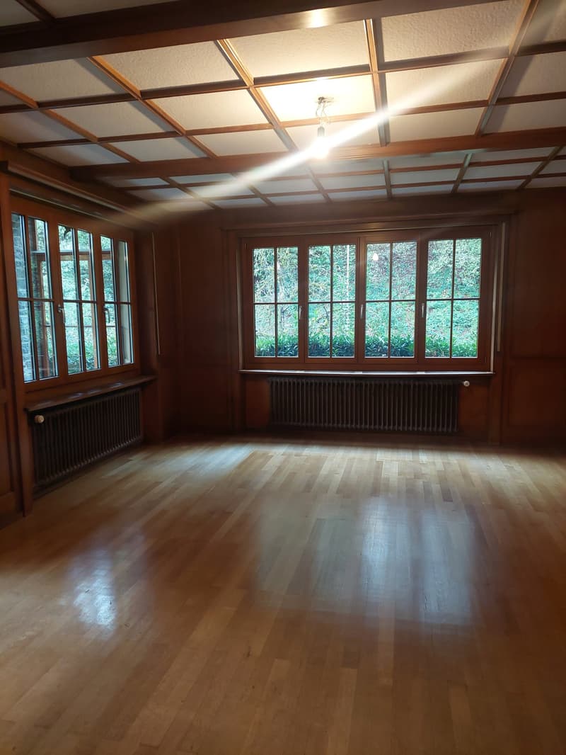 Einfamilienhaus freistehend mit zusätzlichem Umschwung und Garage (16)