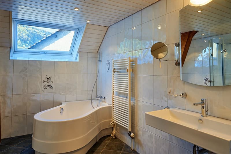 6.5-Zimmerwohnung mit grossem, befahrbarem Lagerraum (4 m Höhe). (6)
