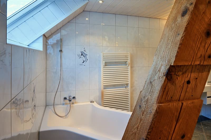 6.5-Zimmerwohnung mit grossem, befahrbarem Lagerraum (4 m Höhe). (7)