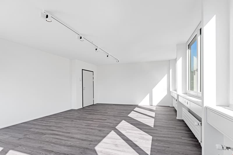 Vielseitige Flächen im Zentrum Witikon (3)