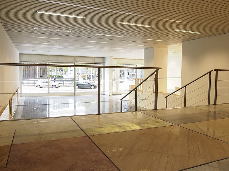 Spazio commerciale attraente di 250 m² in una posizione di alto livello a Zurigo Oerlikon! (4)