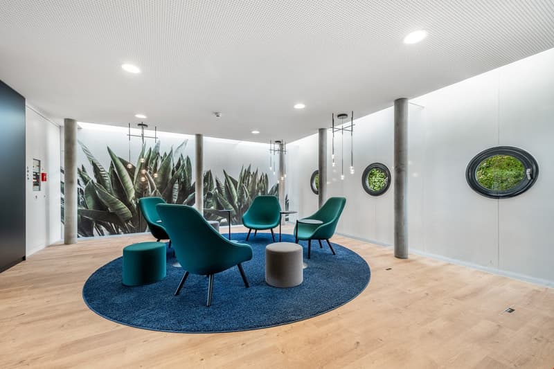 Wooden floor, white walls, blue round rug, green chairs, ottoman, round tables, green plant mural, glass windows