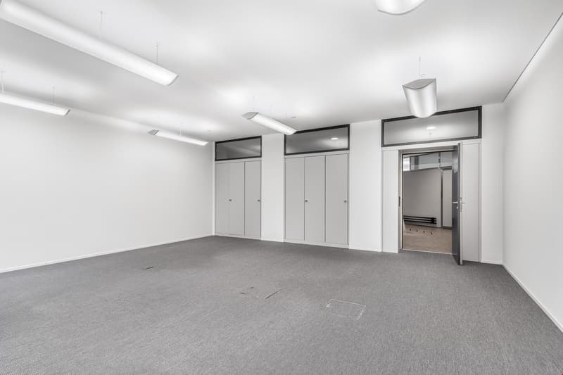 empty room with gray carpet and white walls, three sets of double doors, four overhead lights