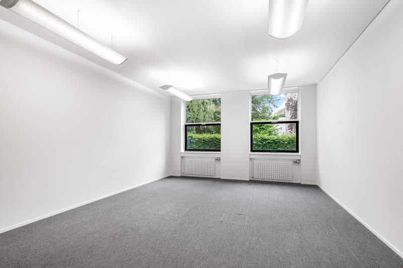 Spacious, well-lit office room with large windows overlooking greenery, grey carpeted floor, and recessed lighting fixtures on the ceiling.