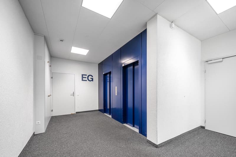 Empty hallway with white walls, gray carpet, two elevators, and two doors.