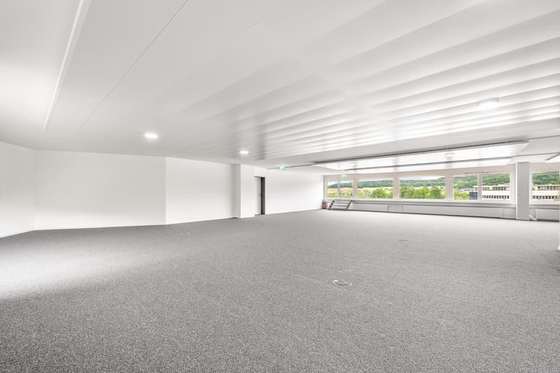 Empty room with grey floor, white walls, ceiling lights, large windows with outdoor view.