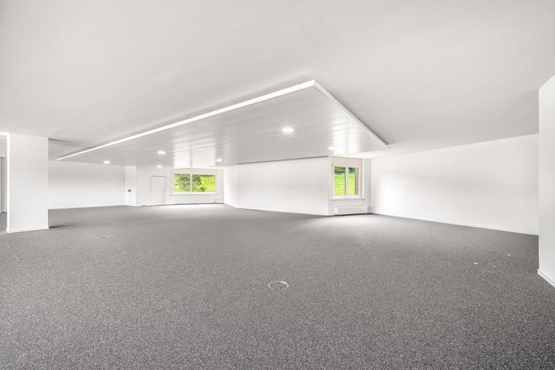 empty room, gray carpet, white walls, windows, ceiling lights