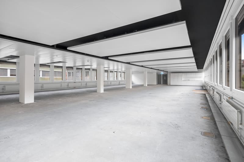 Empty room with white ceiling, black and white walls, concrete floor, white pillars, large windows, and metal handrails